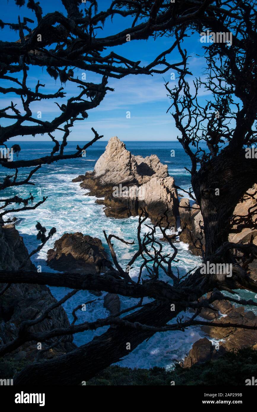 Les branches forestières offrent une vue panoramique sur la rive accidentée De la Réserve naturelle de l'État de point Lobos, en Californie Banque D'Images