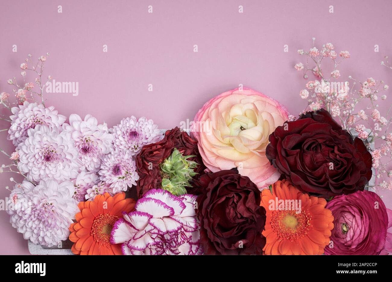 Composition florale colorée sur fond rose pastel. Vue de dessus avec espace de copie. Fête des mères, valentines, anniversaire et fête des femmes concept Banque D'Images Composition florale colorée sur fond rose pastel. Vue de dessus avec espace de copie. Fête des mères, valentines, anniversaire et fête des femmes concept Banque D'Images