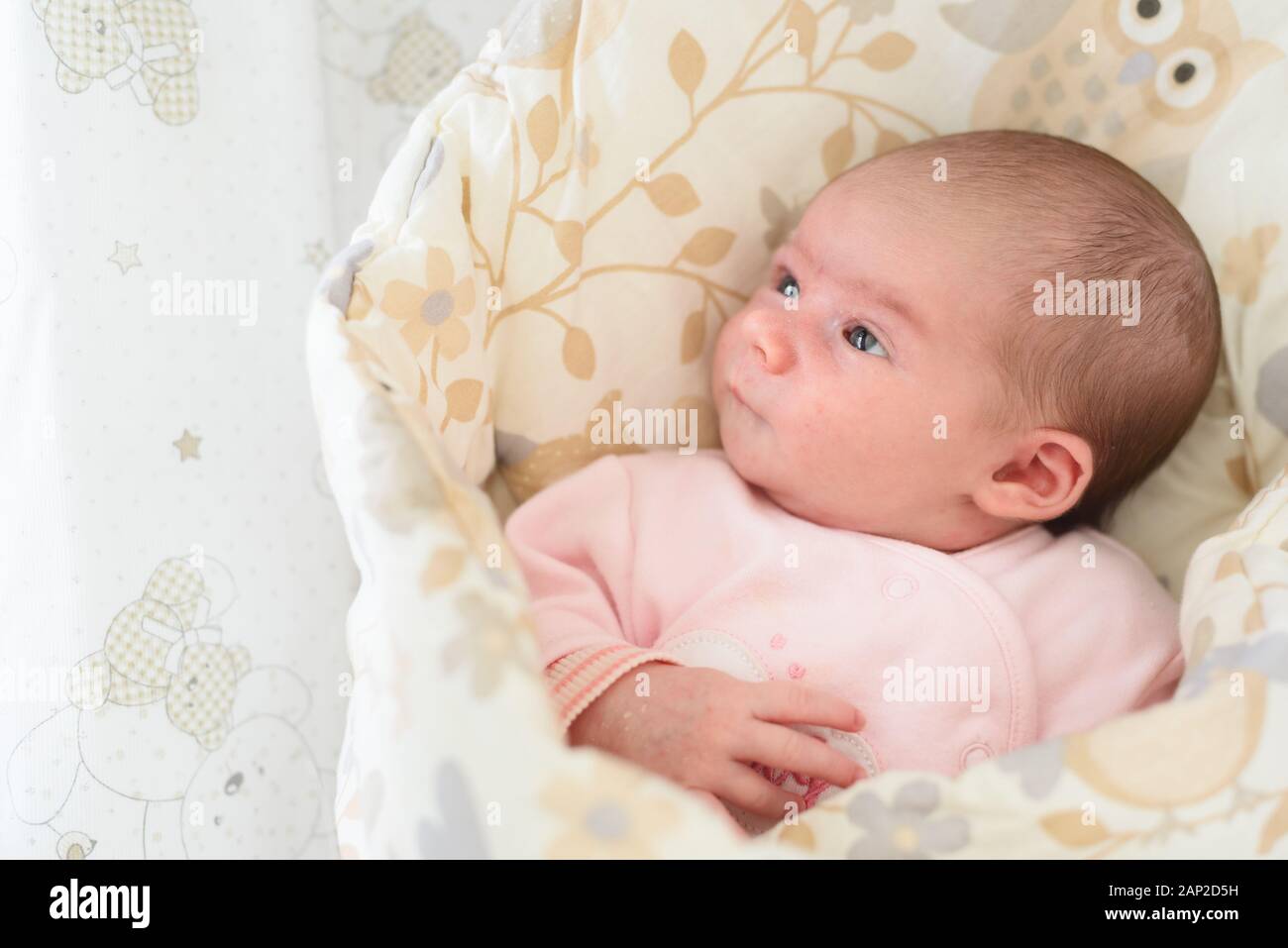 Bebe Nouveau Ne Dans La Couverture Jolie Petite Fille D Une Semaine Faisant Des Expressions Droles De Visage Adorable Couche Sur Le Cote Recouvert D Une Couverture Photo Stock Alamy Bebe Nouveau Ne Dans La Couverture Jolie Petite Fille D Une Semaine Faisant Des Expressions Droles De Visage Adorable Couche Sur Le Cote Recouvert D Une Couverture Photo Stock Alamy