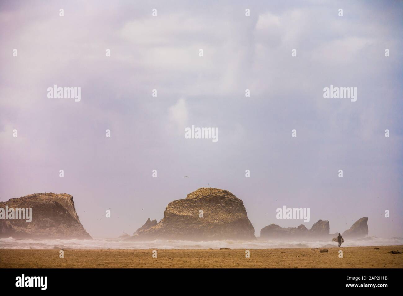 Randonnée Surfer sur un rivage de sable et de roches sur la plage du Parc d'état d'Ecola Oregon USA Banque D'Images