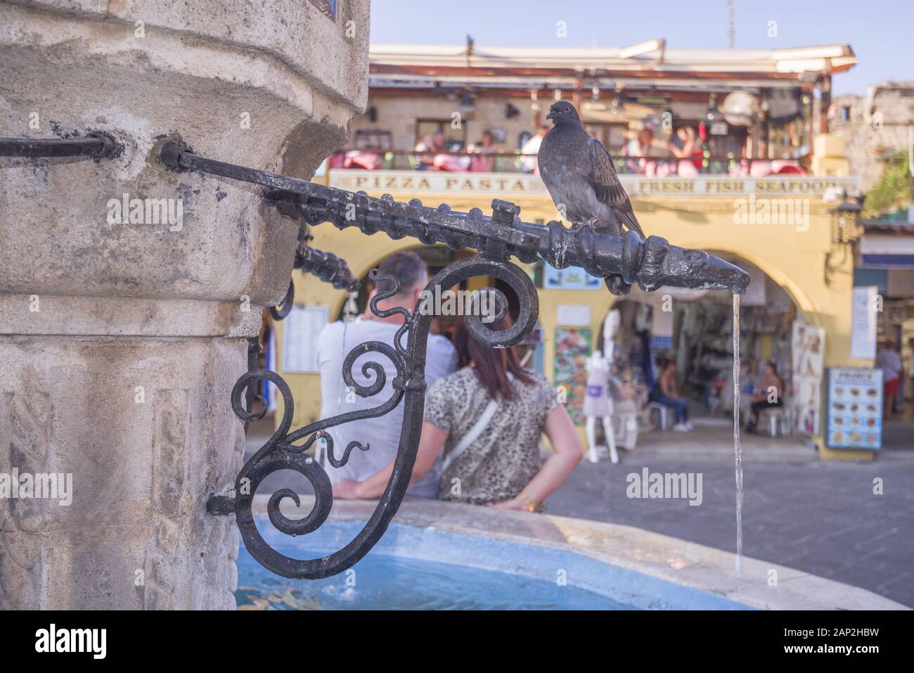 Dove est assis sur la fontaine médiévale à Hippokratous Square. Paysage urbain de l'intérieur des fortifications de la ville médiévale de Rhodes. Banque D'Images