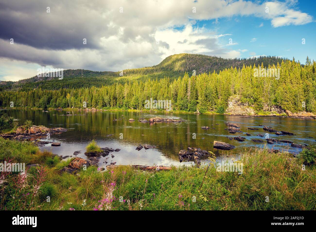 Rocky Mountain river. La belle nature de la Norvège Banque D'Images