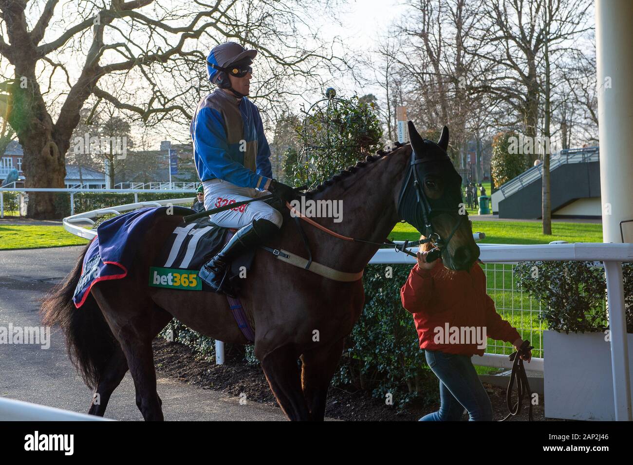 Ascot, Berkshire, Royaume-Uni. 18 janvier, 2020. Ascot, Berkshire, Royaume-Uni. 18 janvier, 2020. Paddy Brennan Jockey têtes hors de la Bet365 Handicap Steeple Chase sur l'Aintree mon rêve. Mme propriétaire D J Brown, Formateur Milton Harris, Warminister, éleveur Anne Sophie Orriere & Didier Veillon. Credit : Maureen McLean/Alamy Banque D'Images