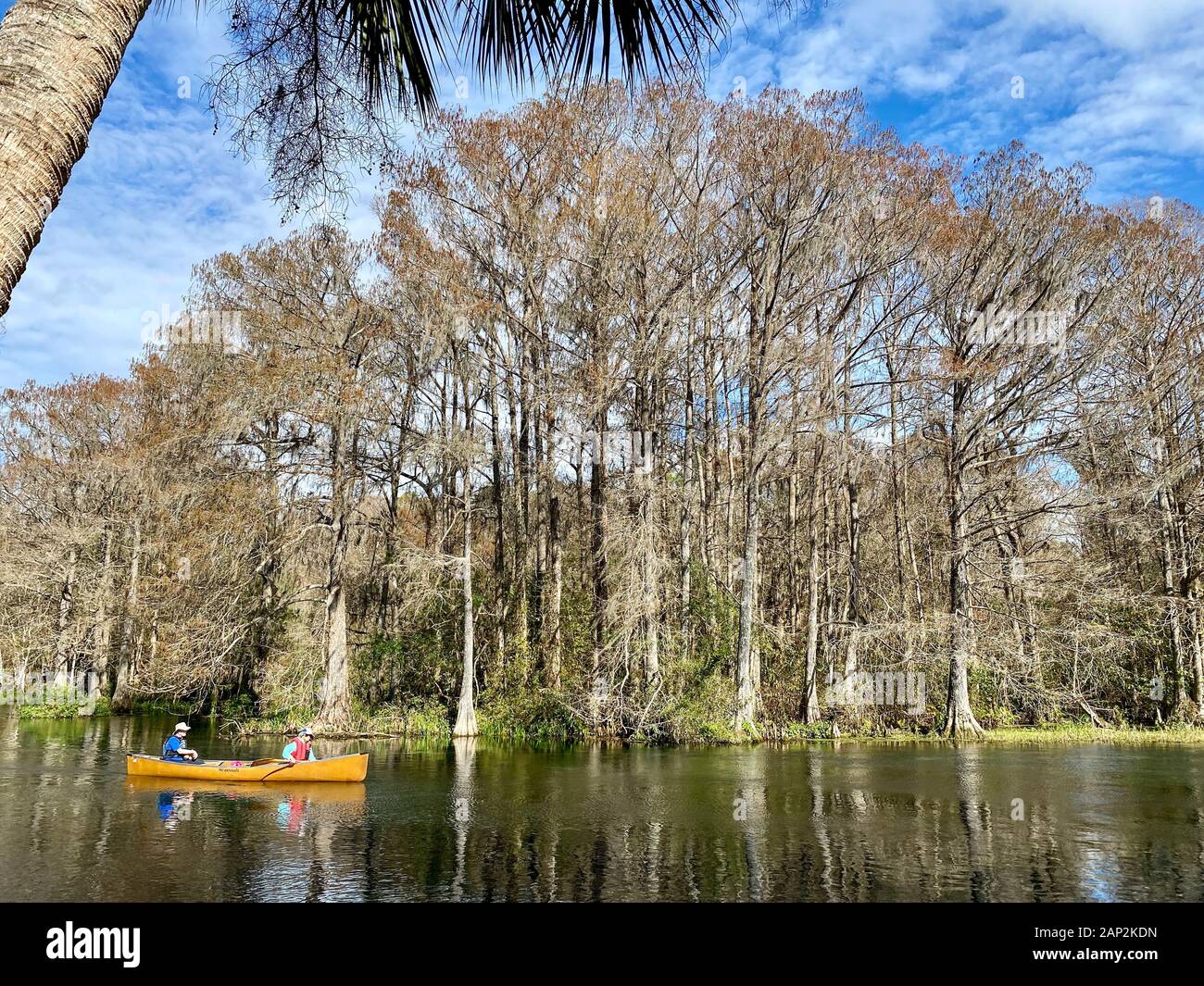 La rivière Arc-en-ciel, Dunnellon, en Floride. Banque D'Images