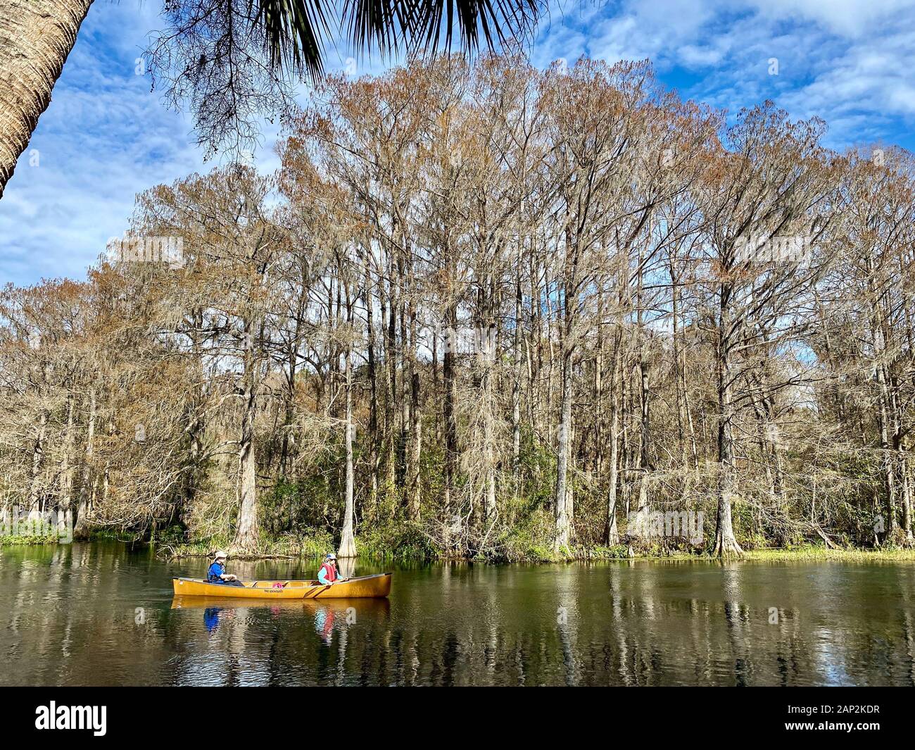 La rivière Arc-en-ciel, Dunnellon, en Floride. Banque D'Images
