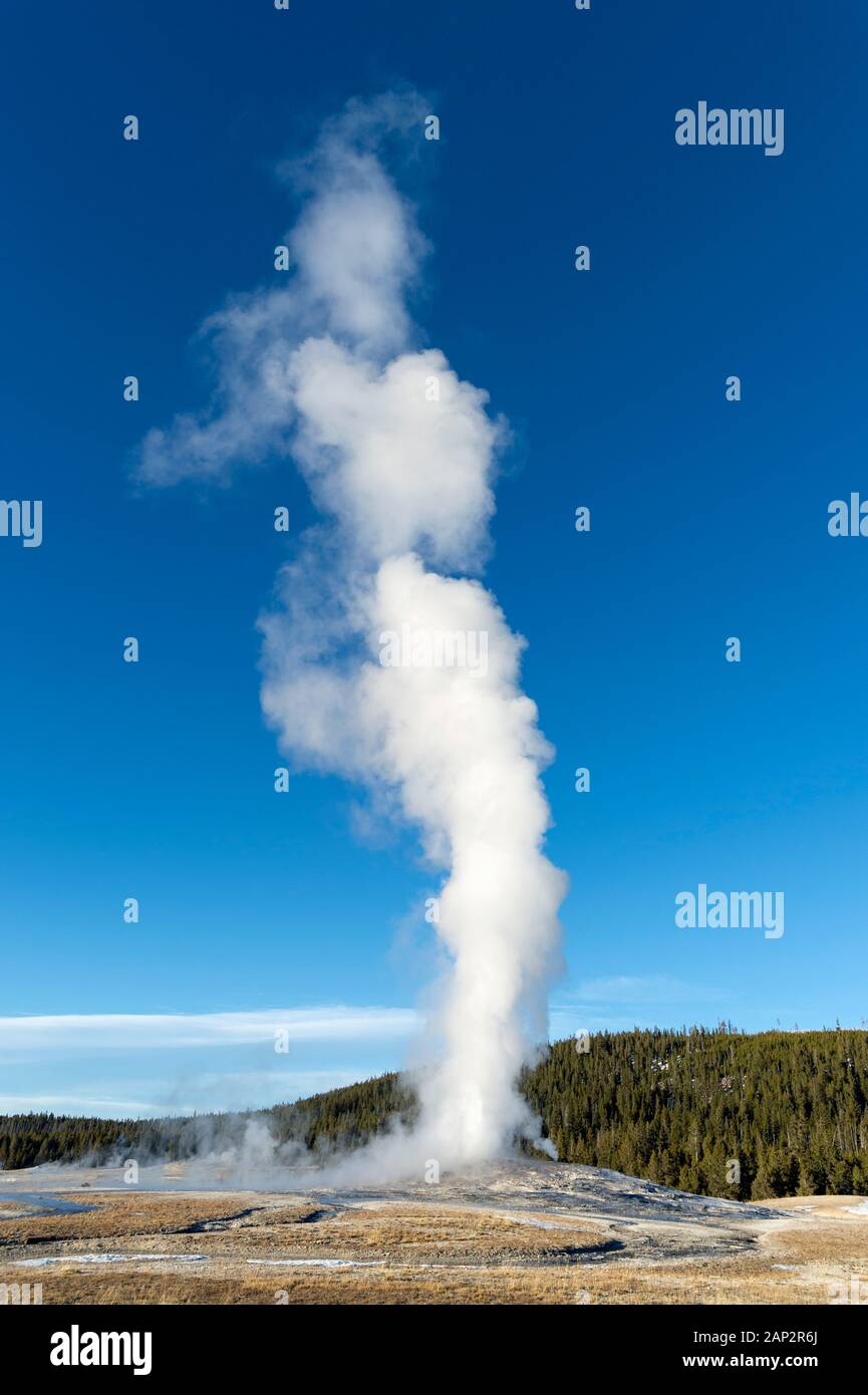 Old Faithful Geyser, Yellowstone National Park Banque D'Images