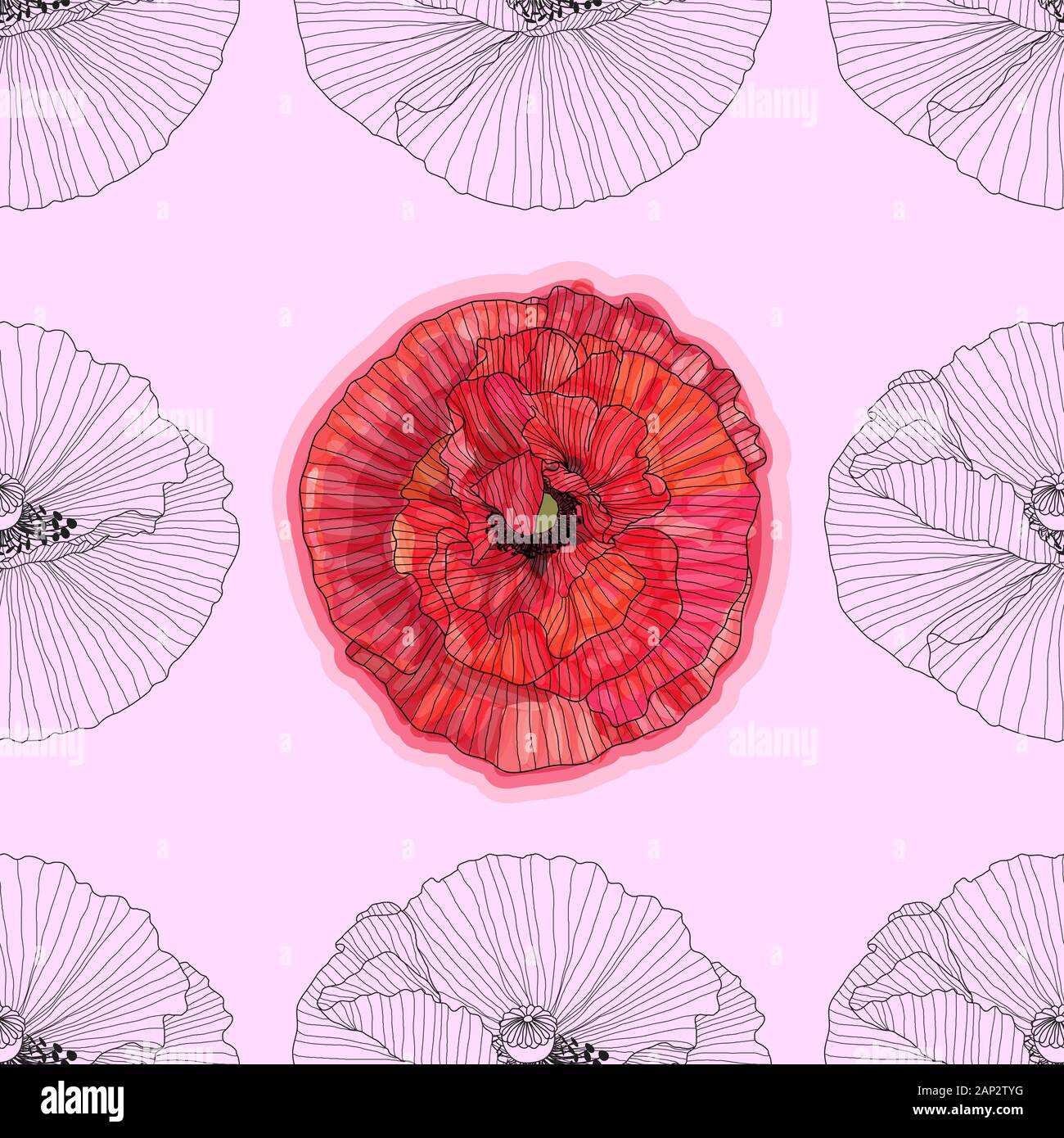 Floral background avec coquelicots. motif transparent. Papier peint texturé transparent s'épanouir pour carte de vœux. Illustration de Vecteur