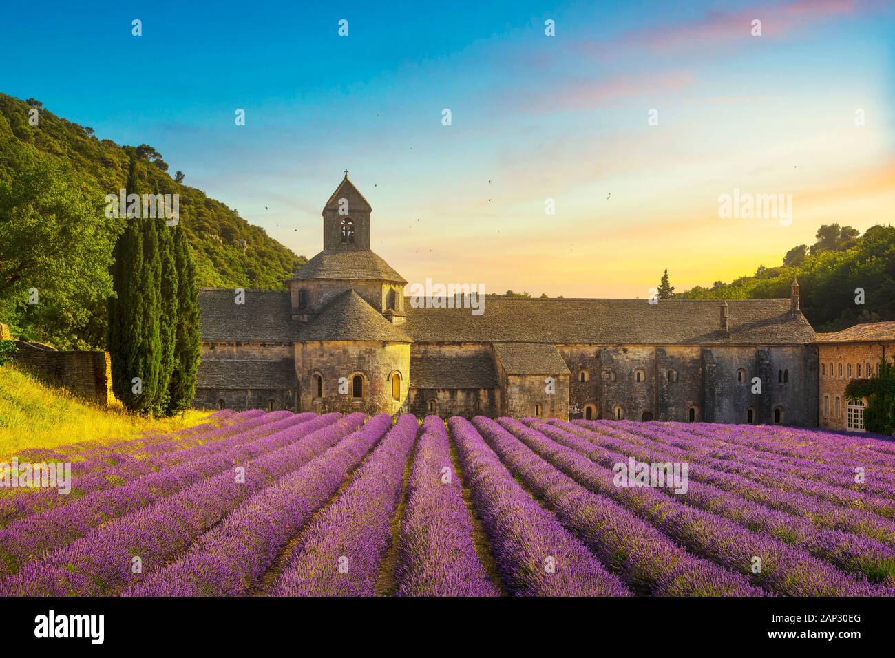 Abbaye de Sénanque et lignes en fleurs fleurs de lavande vue panoramique au coucher du soleil. Gordes, Luberon, Vaucluse, Provence, France, Europe. Banque D'Images