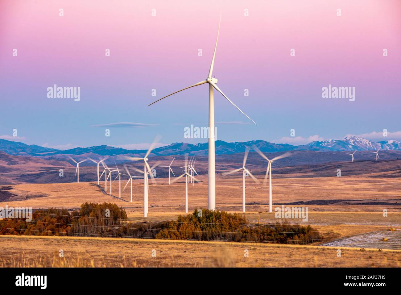 Éoliennes dans un champ avec ciel violet clair Banque D'Images
