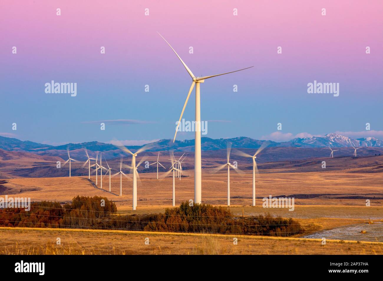 Éoliennes dans un champ avec ciel violet clair Banque D'Images