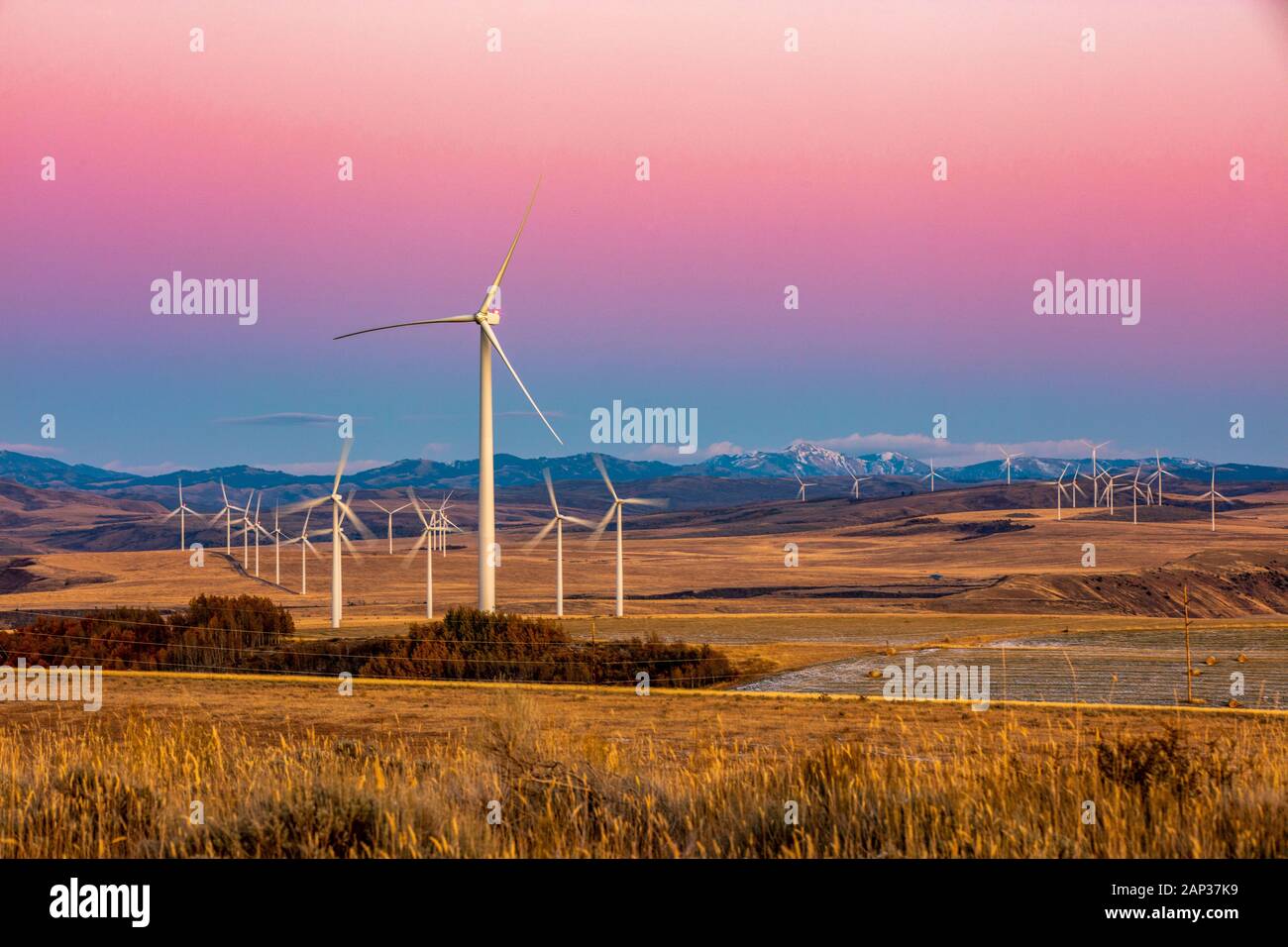 Éoliennes dans un champ avec ciel violet clair Banque D'Images