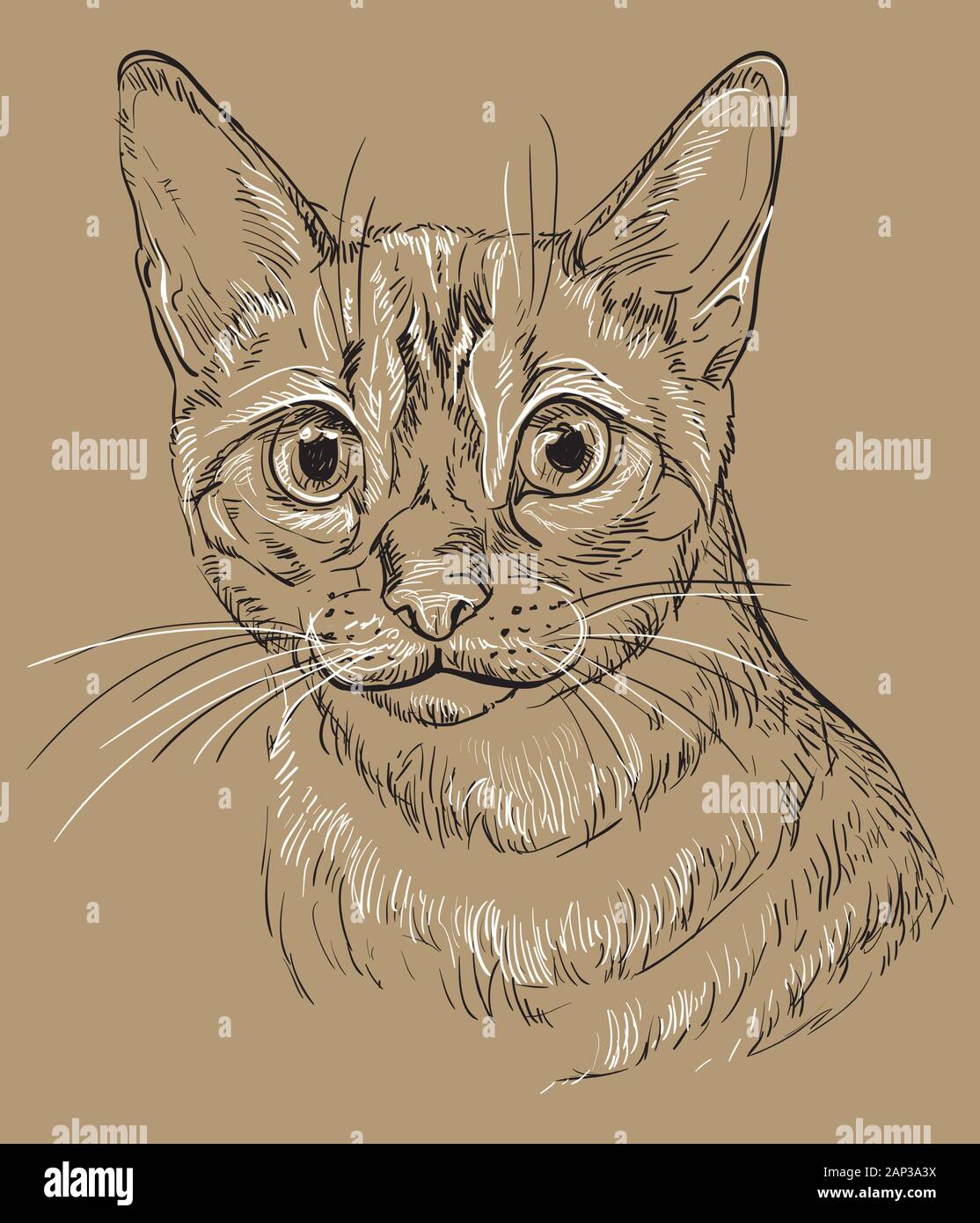 Vector Dessin Portrait De Chat Bengal Snow En Noir Et Blanc Isole Sur Fond Beige Portrait Realiste Monochrome De Chat Je Vecteur Image Vectorielle Stock Alamy