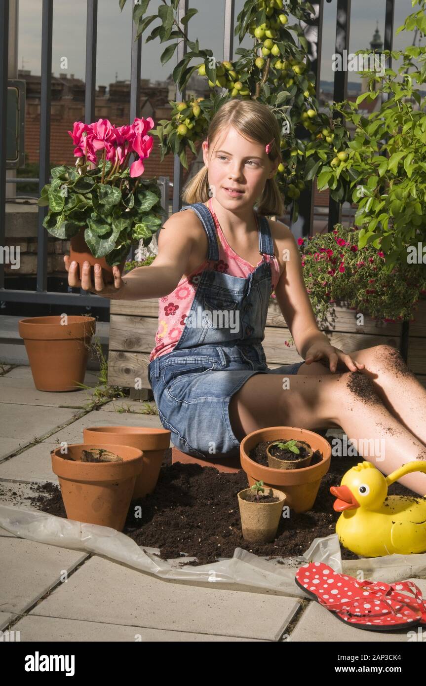 Wien, ein Mädchen am pflanzt Blumen Dachgarten - Vienne, une fille sur le jardin sur le toit Banque D'Images