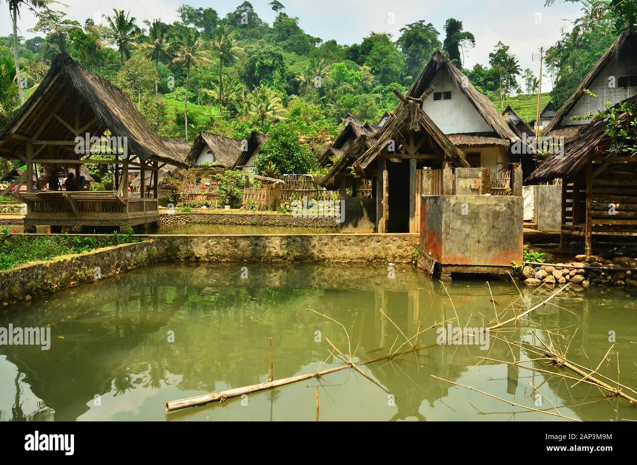 Étangs de village entre maisons de résidents à Tasikmalaya, Java Ouest, Indonésie Banque D'Images