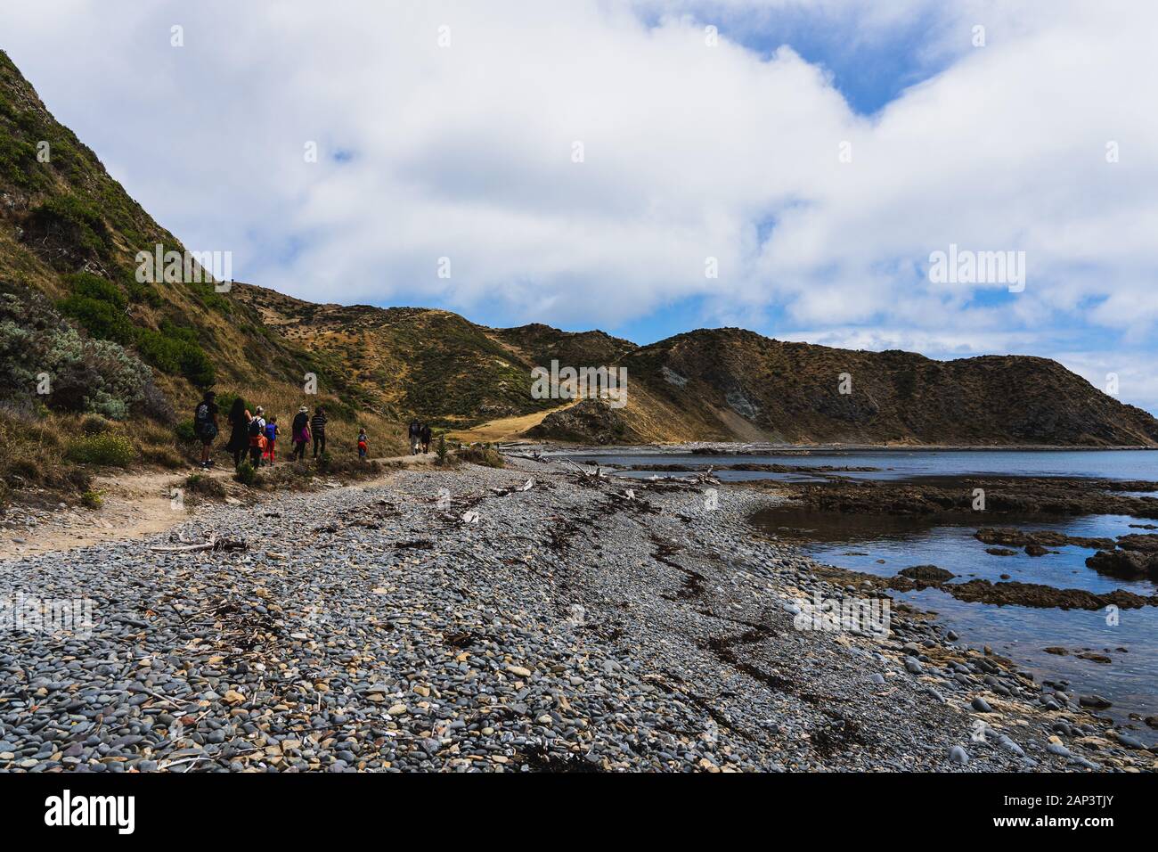 Paysage de Wellington, Nouvelle-Zélande ; vue panoramique de Makara beach Banque D'Images