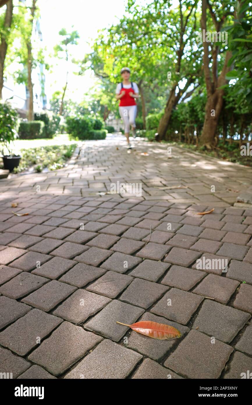 Libre le chemin de pavage dans le parc avec le jogging femme floue dans loin Banque D'Images