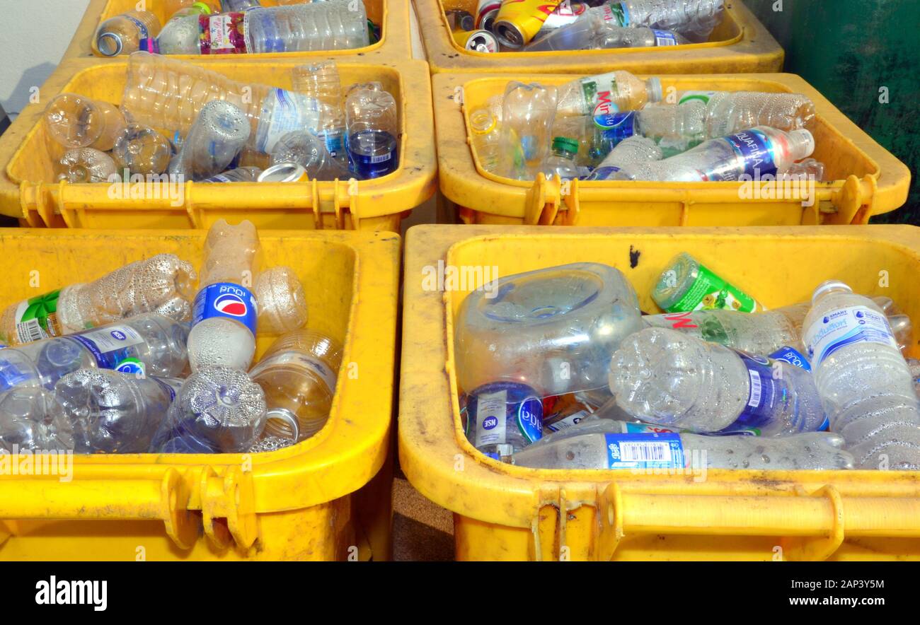 Poubelles jaunes, pleines jusqu'au sommet avec des bouteilles en plastique usagées vides à usage unique qui attendent d'être recyclées Banque D'Images