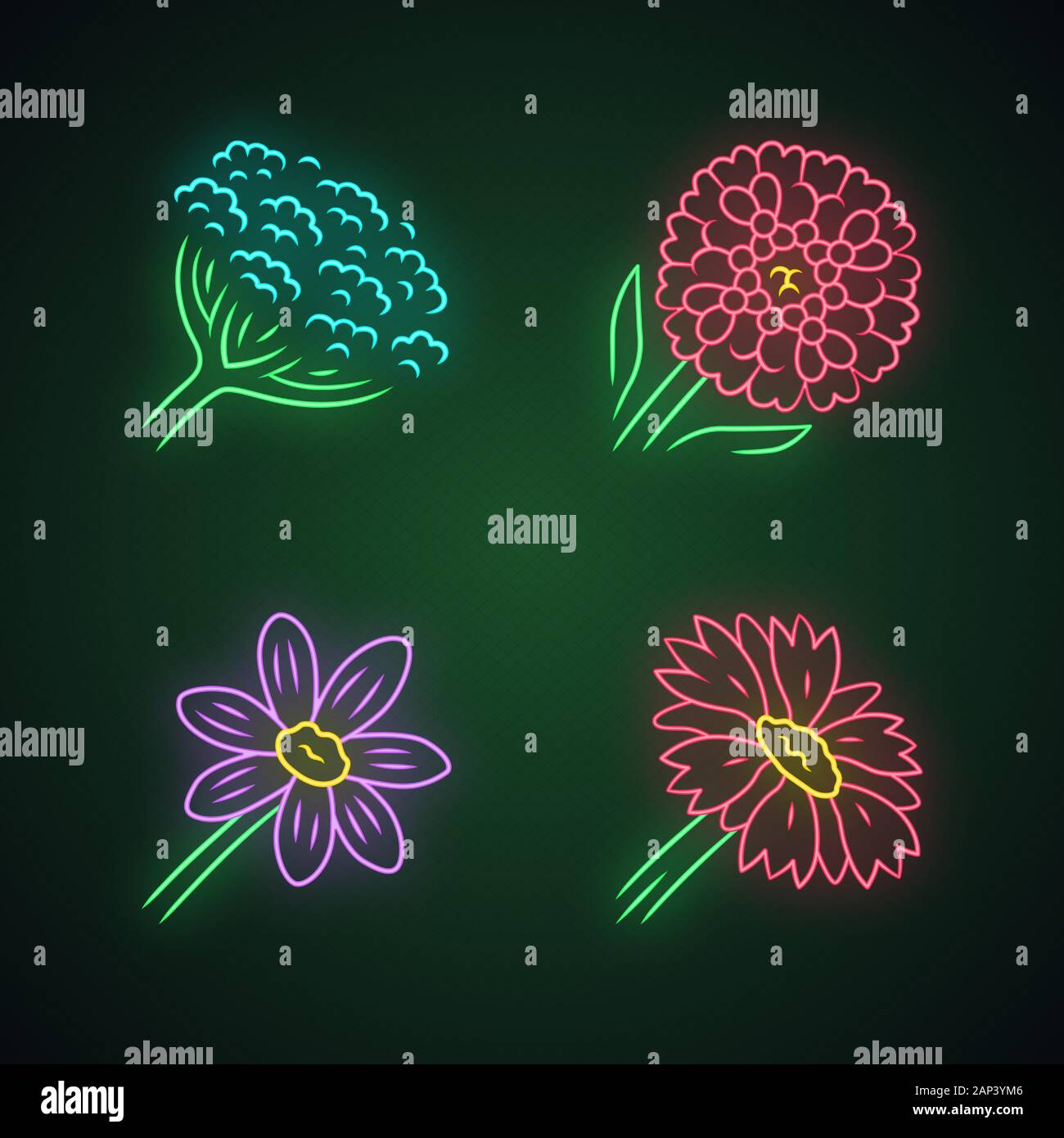 Fleurs sauvages neon light icons set. La berce laineuse, Thlaspi, coreopsis, couverture fleur. Fleurs sauvages en fleurs, les mauvaises herbes. Champ, prairie des plantes herbacées. Glo Illustration de Vecteur