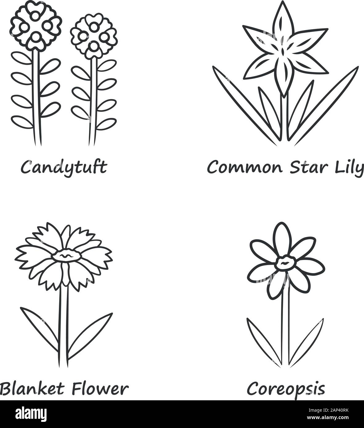 Fleurs sauvages icons set linéaire. Thlaspi, star commun lily, coreopsis, couverture fleur. Mauvaises herbes, fleurs sauvages en fleurs. Les plantes de prairie, champ. Fine ligne cont Illustration de Vecteur