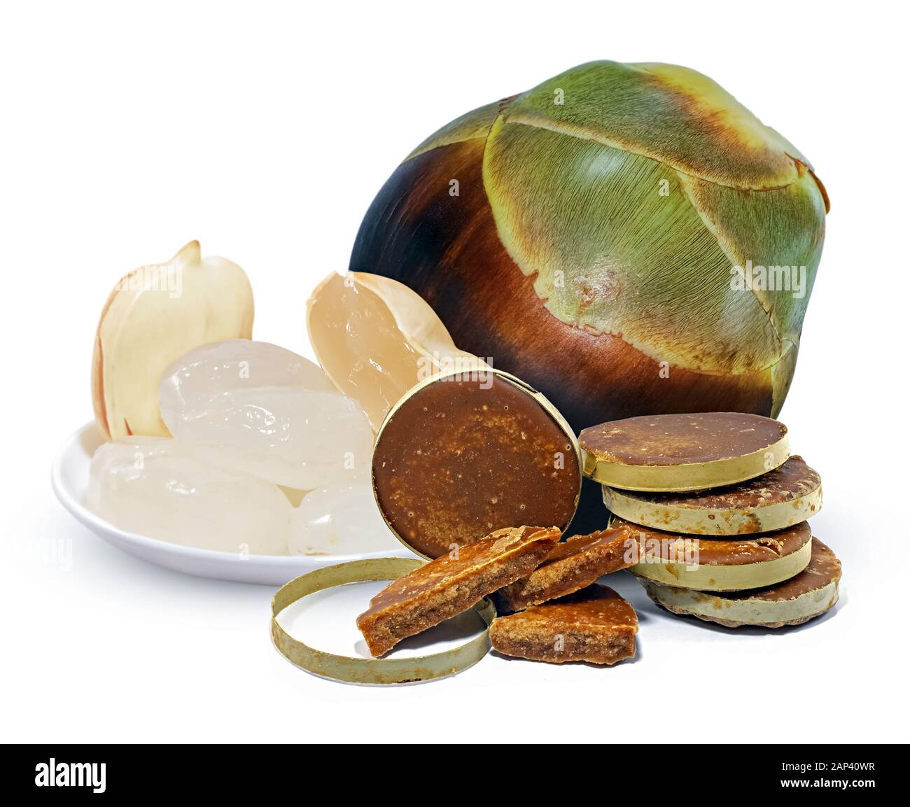 Palmyra Palm ou Toddy Palm isolé sur fond blanc Banque D'Images