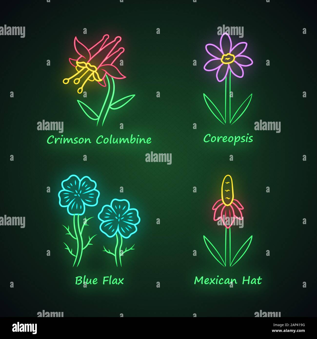 Fleurs sauvages neon light icons set. Columbine Crimson, coreopsis, bleu, Mexican Hat. Fleurs sauvages en fleurs, les mauvaises herbes. Les plantes de prairie, champ. Sig rougeoyant Illustration de Vecteur