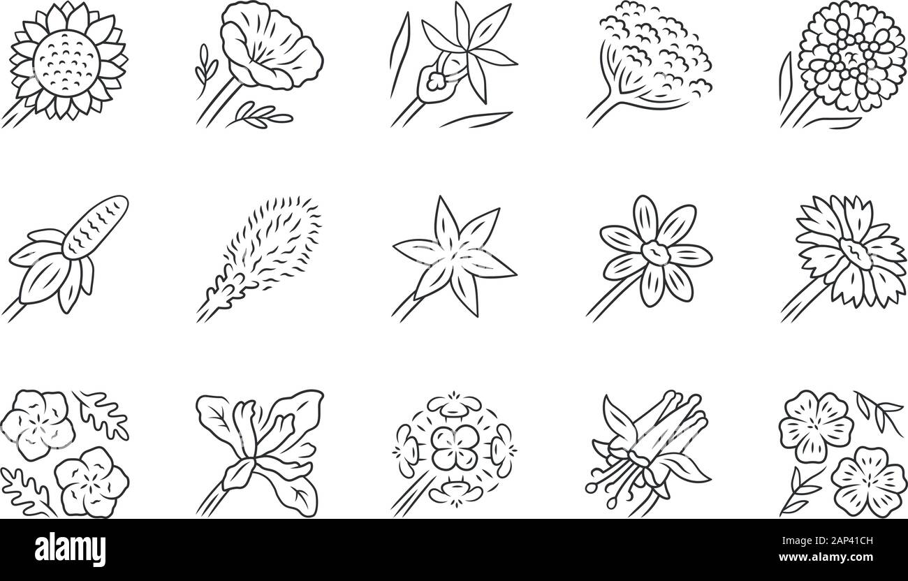 Fleurs sauvages icons set linéaire. Fleur de printemps. Fleurs sauvages de la Californie. Décoration de jardin de plantes fleuries. Ensemble de jardin botanique. Fine ligne contour des symboles. Illustration de Vecteur