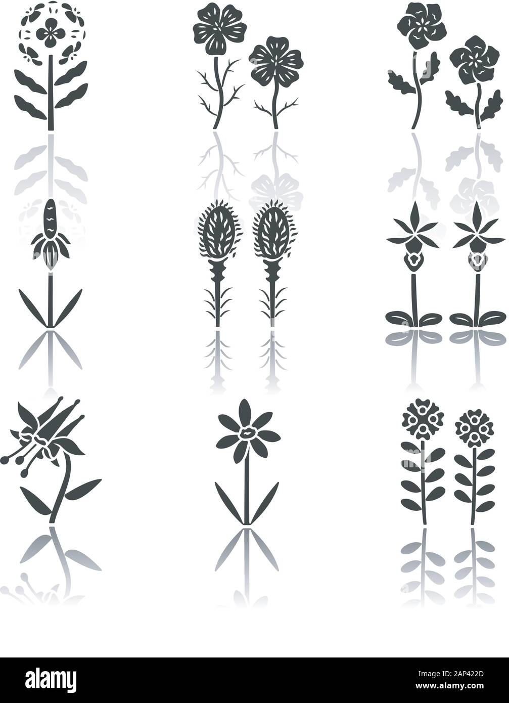 Fleurs sauvages noir ombre glyph icons set. Giroflée franciscaine, linum, yeux bleus, Mexican Hat, liatris, Calypso orchid, Crimson, Columbine, core Illustration de Vecteur