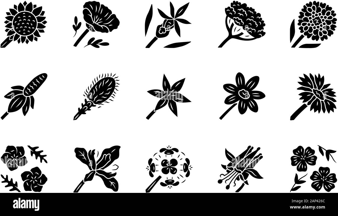 Fleurs sauvages glyphe icons set. Fleur de printemps. Fleurs sauvages de la Californie. Jardin de plantes fleuries. Ensemble de jardin botanique. Prairie, champ de fleurs, l'herbe. Calflora. Illustration de Vecteur