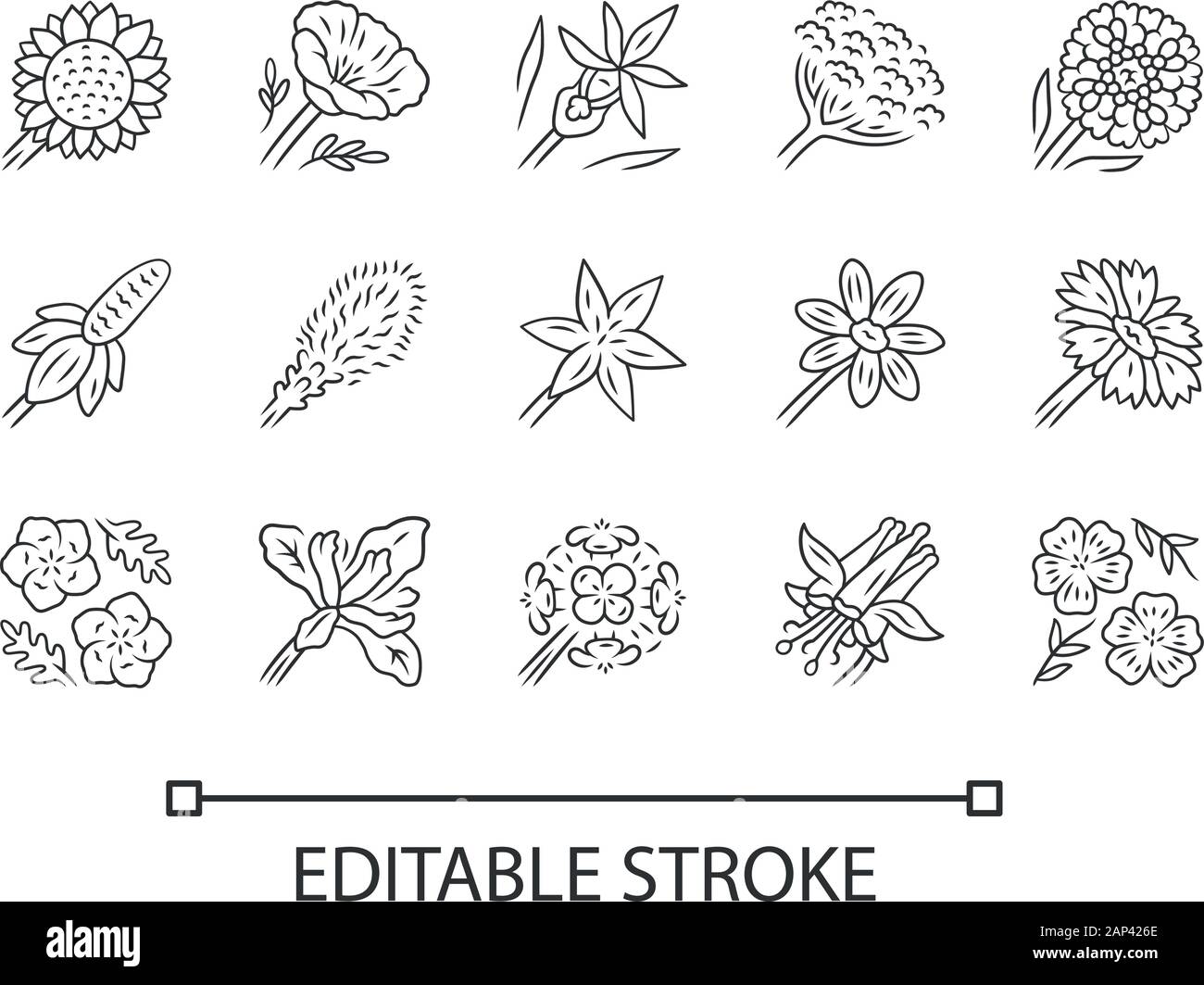 Fleurs sauvages icons set linéaire. Fine ligne contour des symboles. Fleur de printemps. Fleurs sauvages de la Californie. Décoration de jardin de plantes fleuries. Ensemble de jardin botanique. Illustration de Vecteur