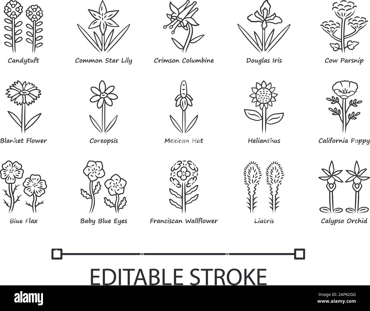 Fleurs sauvages icons set linéaire. Fleur de printemps. Fleurs sauvages de la Californie avec des noms. Jardin de plantes fleuries. Ensemble de jardin botanique. Fine ligne contour des symboles. Illustration de Vecteur