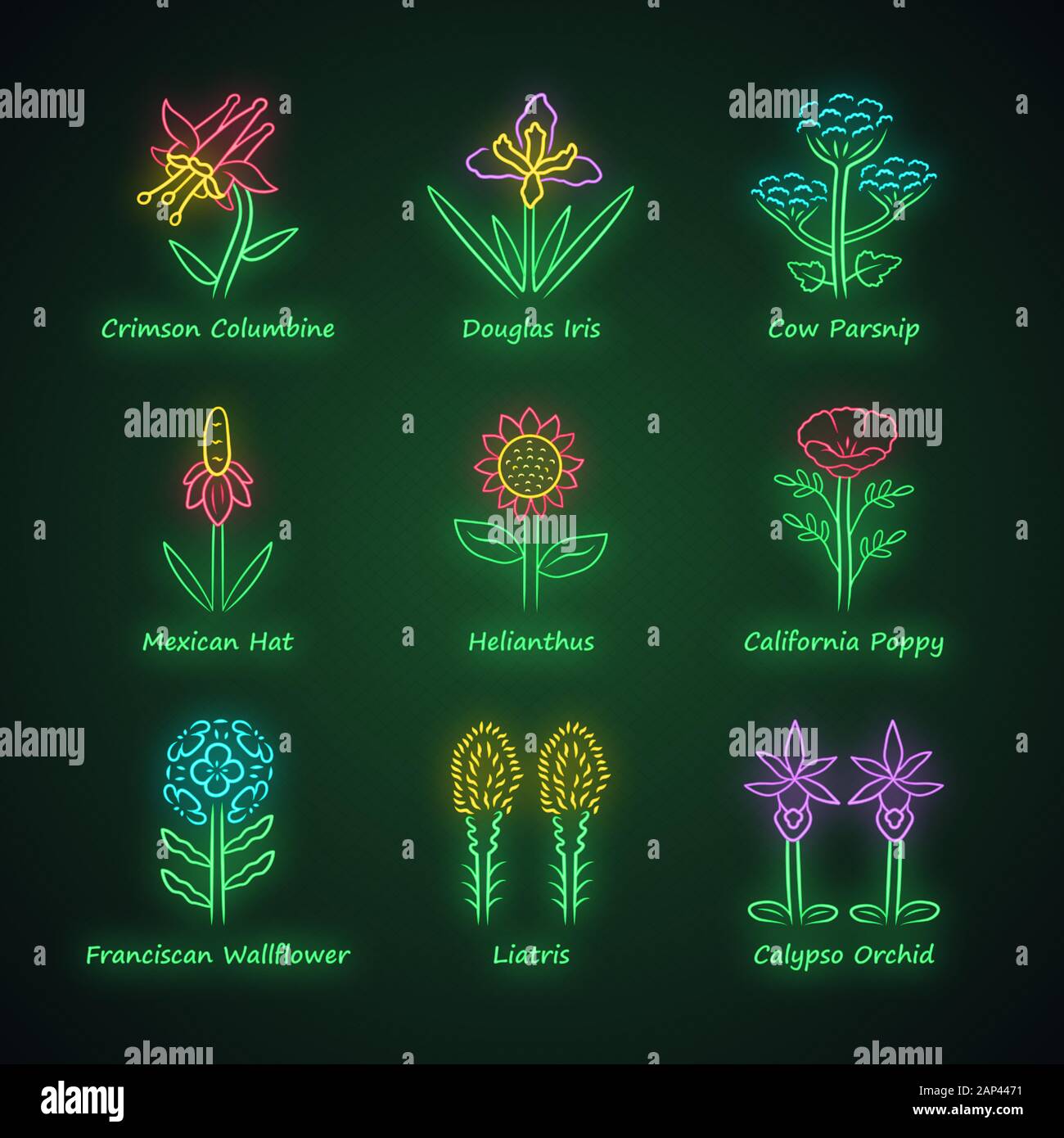 Fleurs sauvages neon light icons set. Columbine Crimson, iris, la berce laineuse, helianthus, Poppy, wallflower franciscaine, liatris, orchidée. Les fleurs sauvages, la lutte contre les mauvaises herbes. Illustration de Vecteur