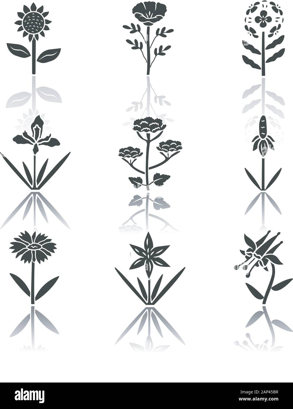 Fleurs sauvages noir ombre glyph icons set. L'Helianthus, pavot de Californie, wallflower franciscaine, douglas iris, la berce laineuse, Crimson, Columbine, bla Illustration de Vecteur