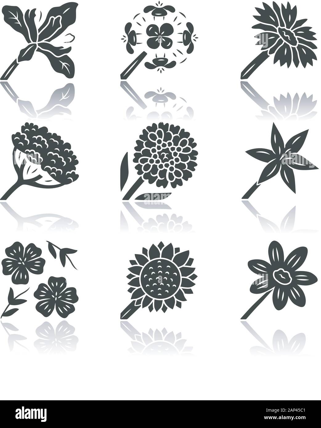 Fleurs sauvages noir ombre glyph icons set. Iris Douglas, giroflée, franciscaine la berce laineuse, Thlaspi, star commune, Lily, helianthus, lin bleu Illustration de Vecteur