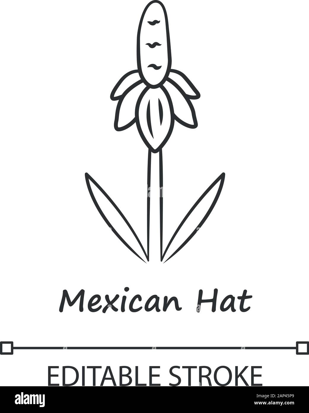 Mexican Hat fleur sauvage icône linéaire. Prairie coneflower debout avec nom de l'inscription. Ratibida columnifera plante. Fine ligne illustration. Sym Contour Illustration de Vecteur