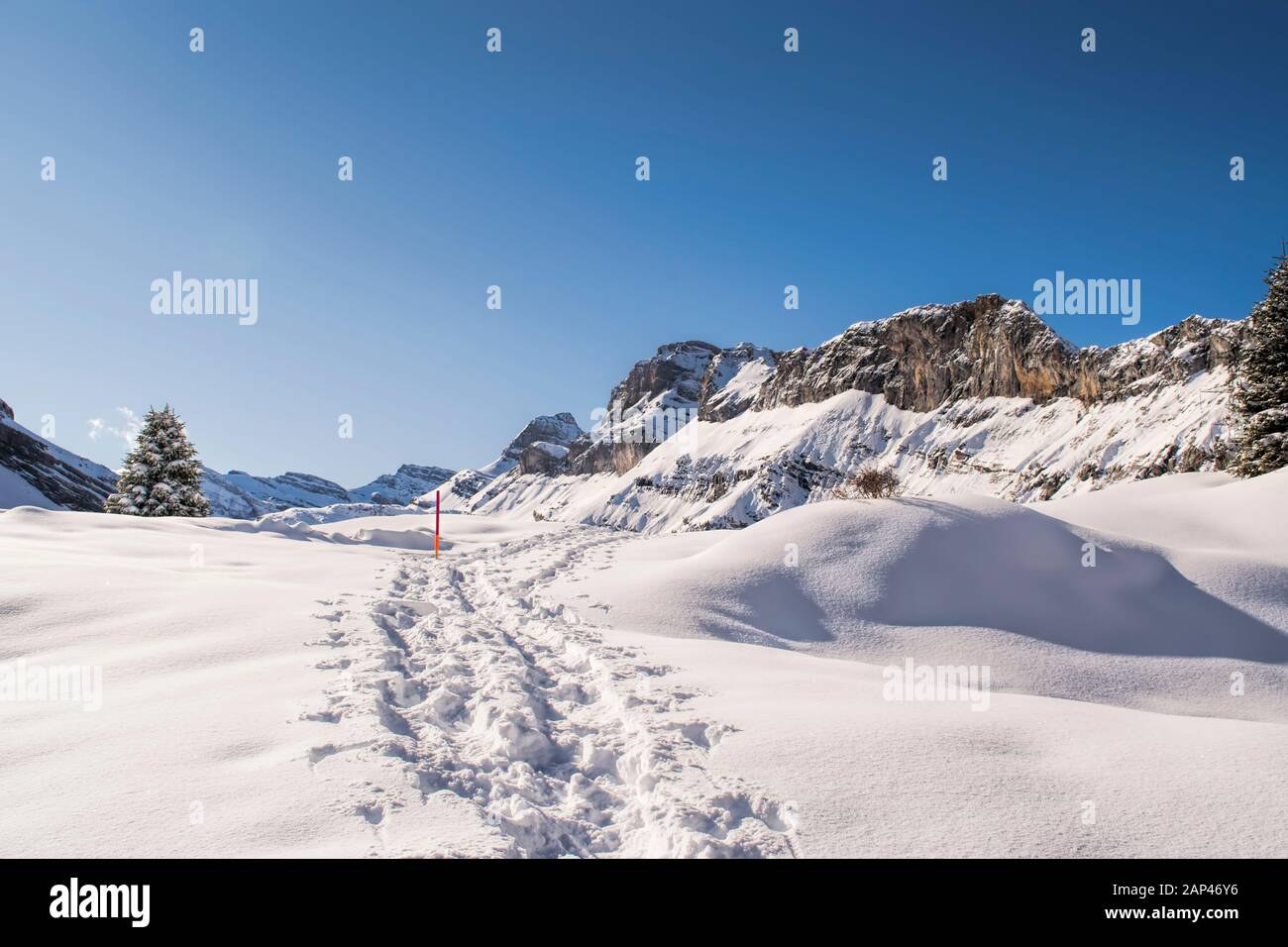 superbe piste de raquettes en hiver merveilleux le samedi après-midi au soleil. Kandersteg, Berne, Suisse Banque D'Images