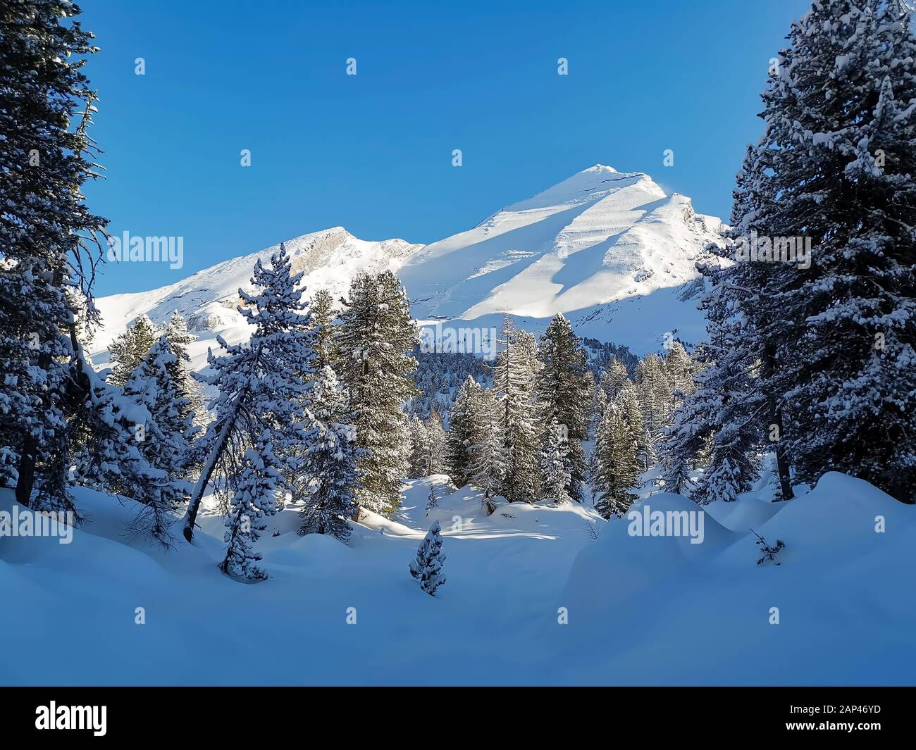 Paysage hivernal enneigé dans l'Oberland bernois Banque D'Images