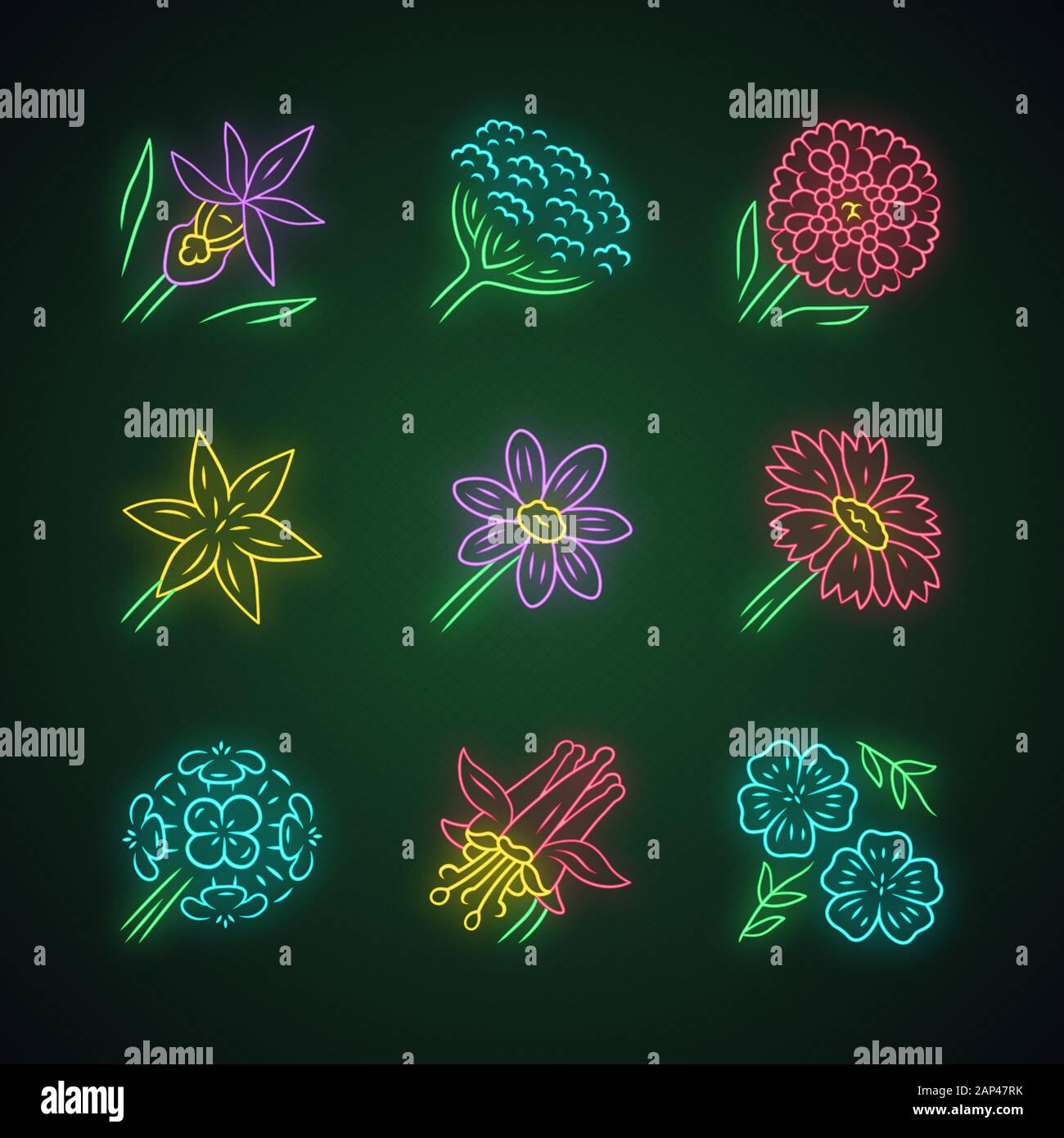 Fleurs sauvages neon light icons set. Orchid, la berce laineuse, Thlaspi, star lily, coreopsis, giroflée, franciscain columbine crimson, bleu, couverture Illustration de Vecteur
