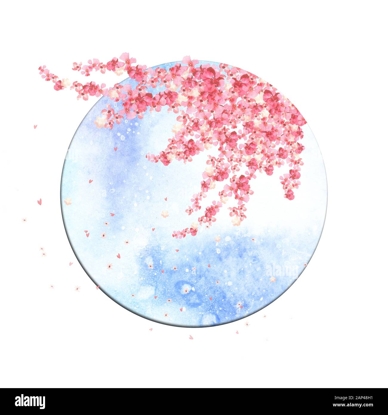fleurs d'arbre sakura en aquarelle fleuries à l'intérieur d'un cadre rond avec ciel bleu Banque D'Images