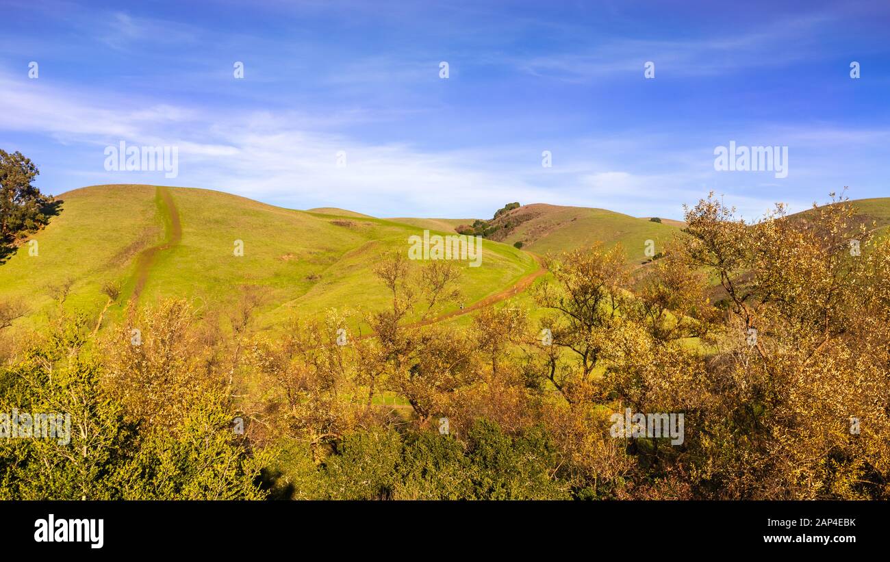 Vue du coucher de collines verdoyantes dans un des parcs régionaux de l'Est de la baie de San Francisco, Californie Banque D'Images