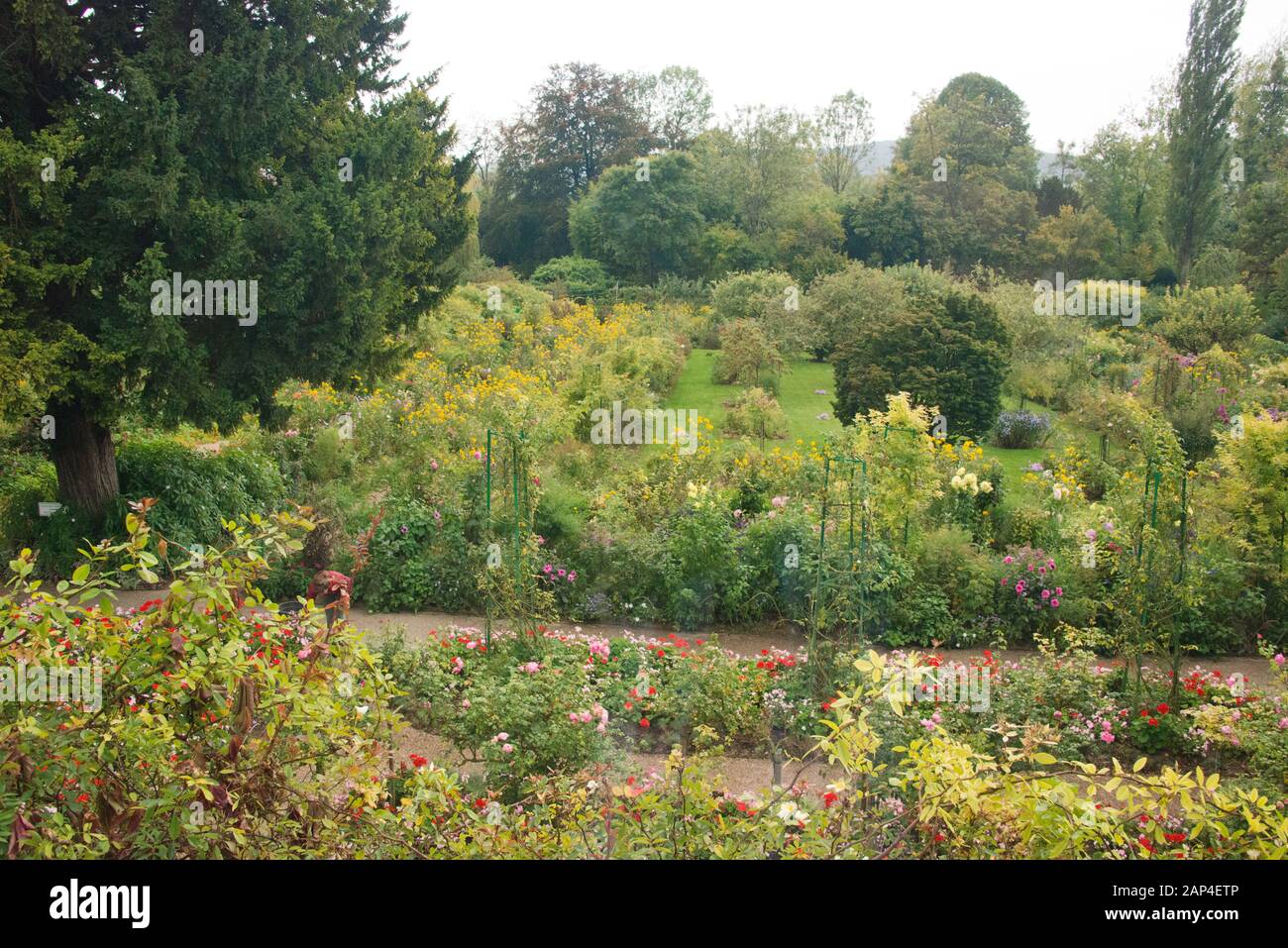 Monet Gardens Giverny Normandie France montrant des fleurs et des sentiers en automne Banque D'Images