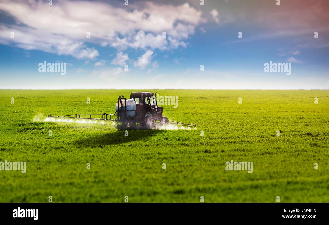 Un agriculteur est le pesticide cultures par un tracteur. Banque D'Images