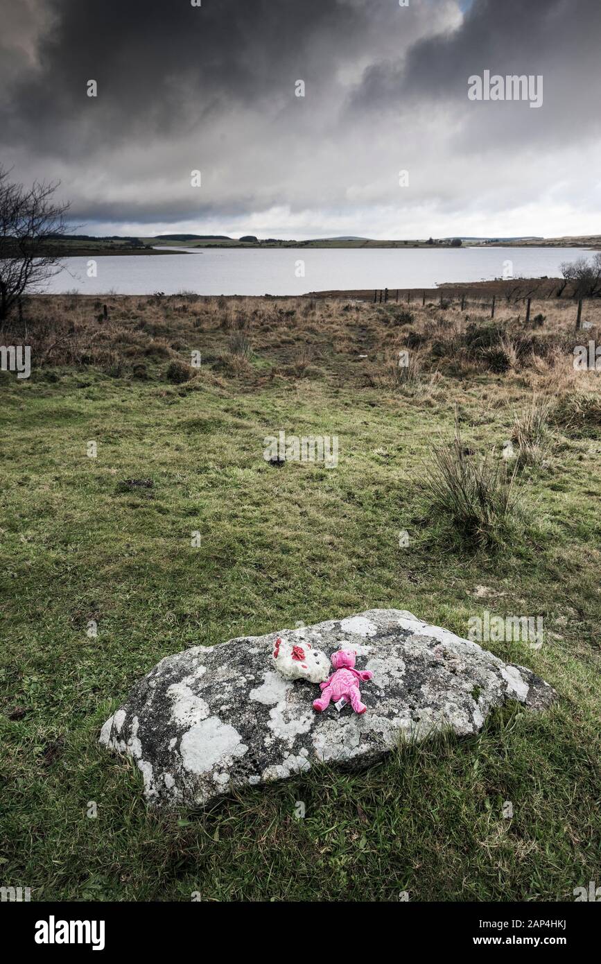 Perdu peluches abandonné sur une roche de granit près du lac Colliford sur Bodmin Moor en Cornouailles. Banque D'Images