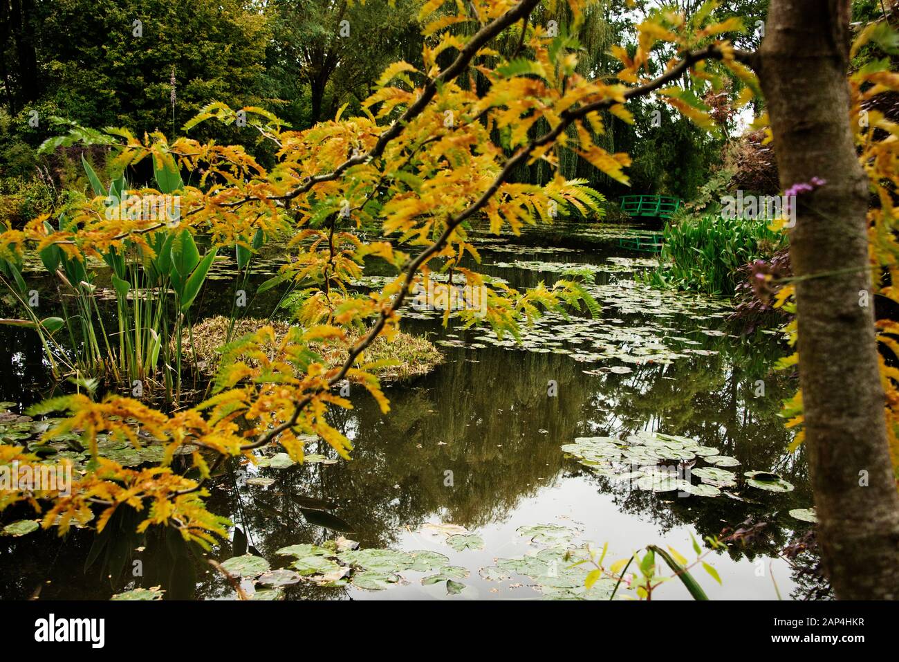 Claude Monet Jardin Giverny Jardin Aquatique Et Lily Pond En Automne. Feuilles d'automne encadrant le pont japonais Banque D'Images