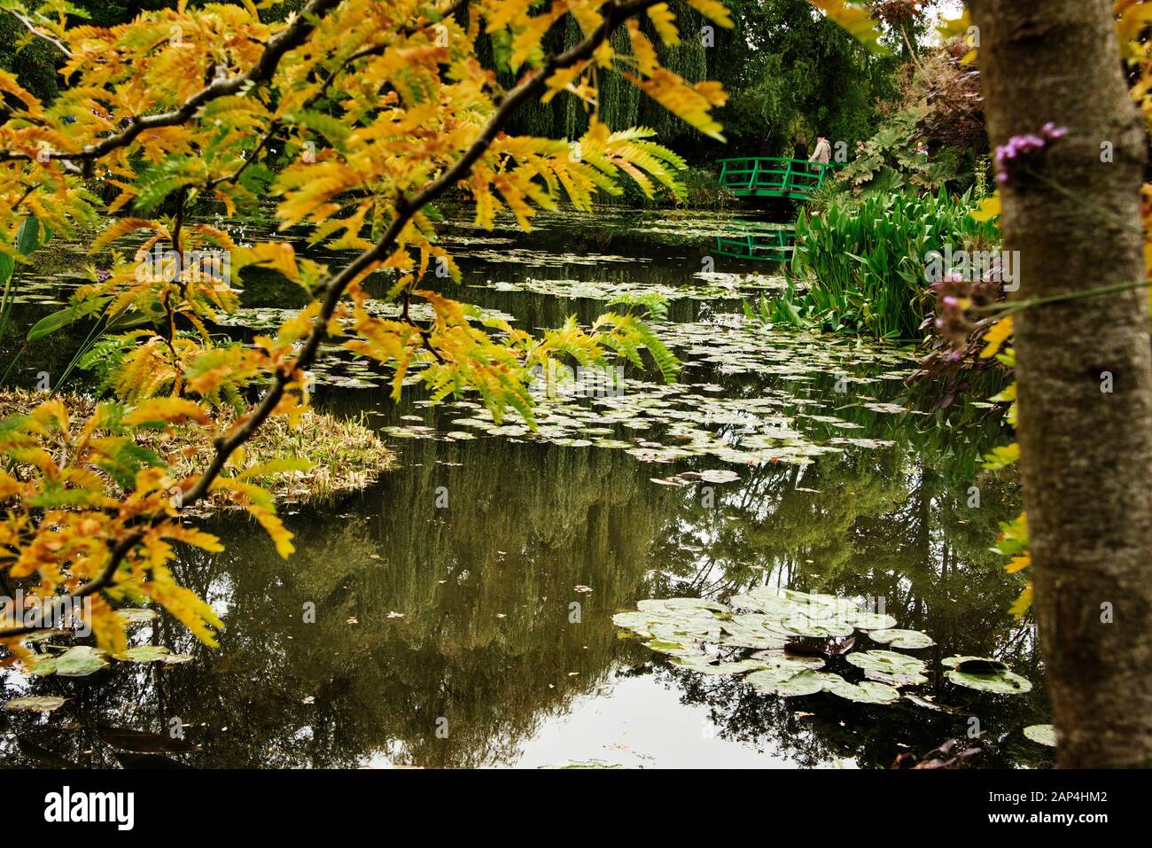 Claude Monet Garden Giverny Water Garden et Lily Pond en automne Pont japonais encadré de feuilles d'automne Banque D'Images