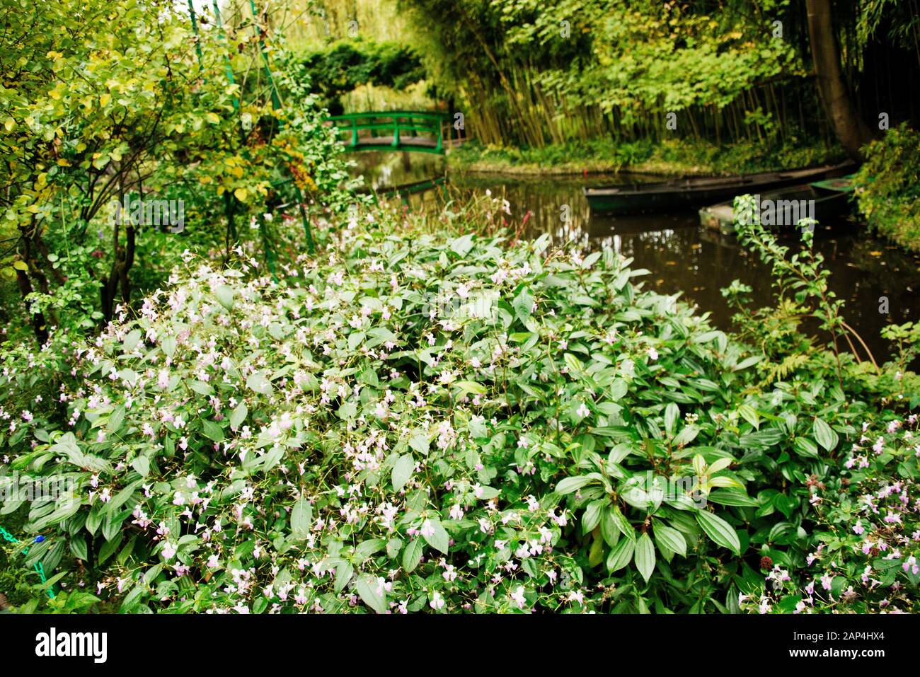 Claude Monet Jardin Giverny. Plantes en premier plan et pont japonais en arrière-plan prises en automne Banque D'Images