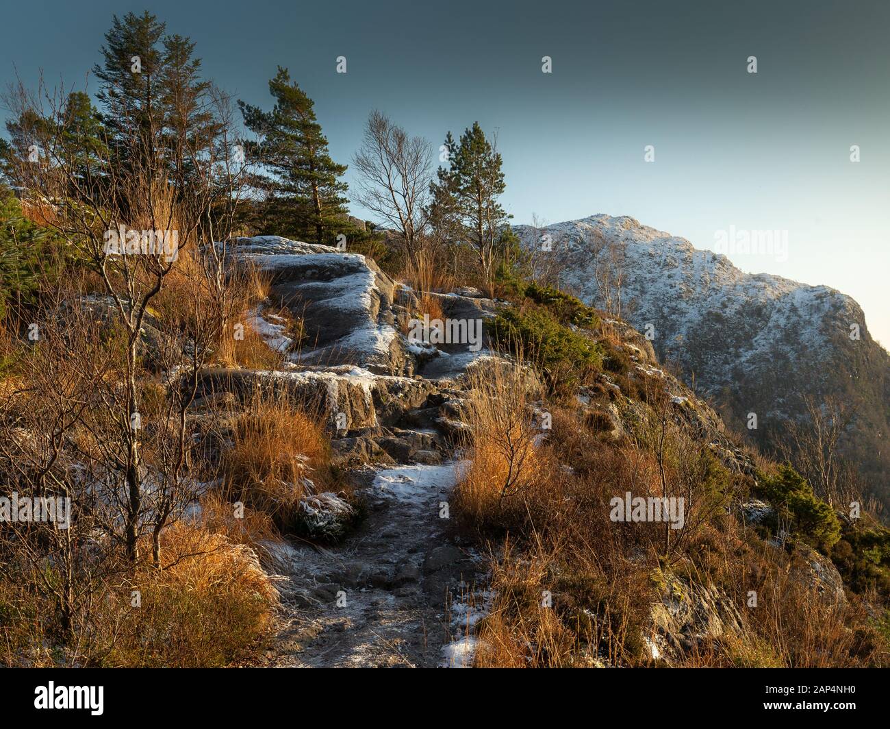 Le sentier glissant menant aux montagnes atteint le pic à travers les arbres d'automne. Approche raide avec vue fantastique sur les montagnes enneigées. Banque D'Images