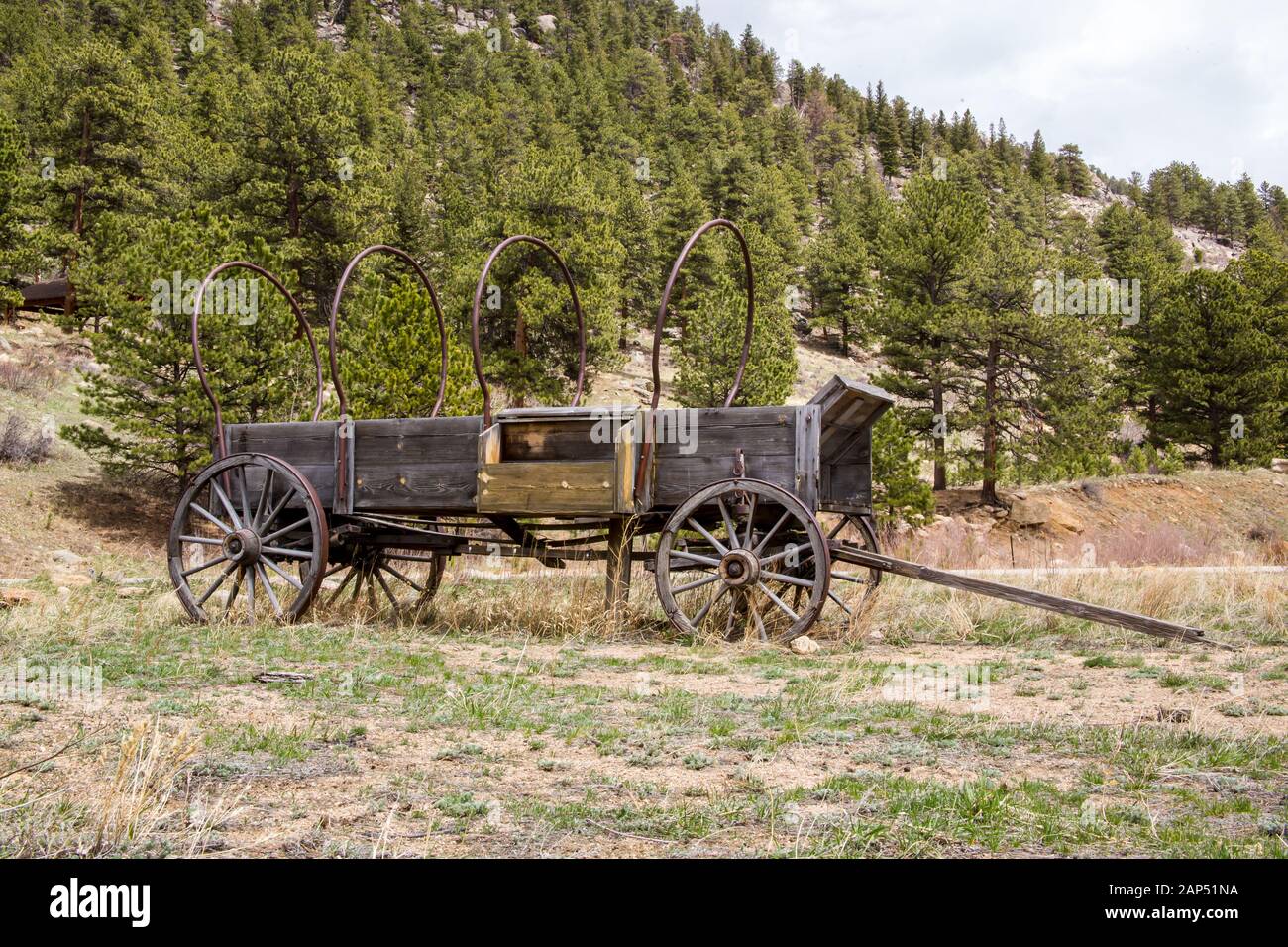 Wagon tiré à cheval dans le parc national des montagnes Rocheuses, Colorado Banque D'Images