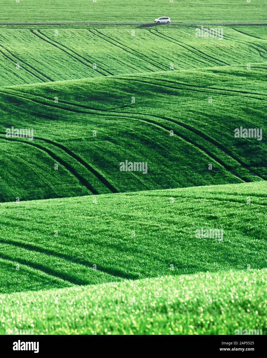 Paysage rural avec les champs agricoles de printemps sur les collines dans la région Moravie du Sud, République Tchèque Banque D'Images