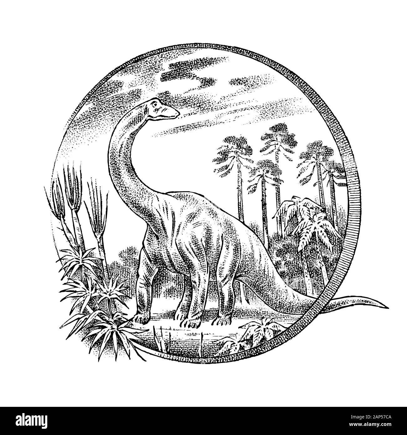 Paysage vintage avec un dinosaure dans la forêt tropicale. Ancien modèle rétro pour logo ou l'étiquette. Gravé à la main dessin monochrome. Vector illustration Illustration de Vecteur