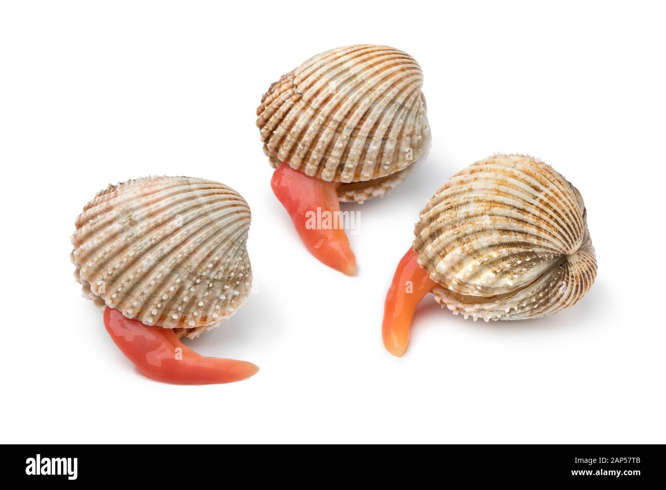 Des cocardes de Prickly frais avec un long pied étendu isolé sur fond blanc Banque D'Images